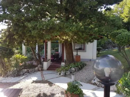 Villa Dora - Boutique Apartments