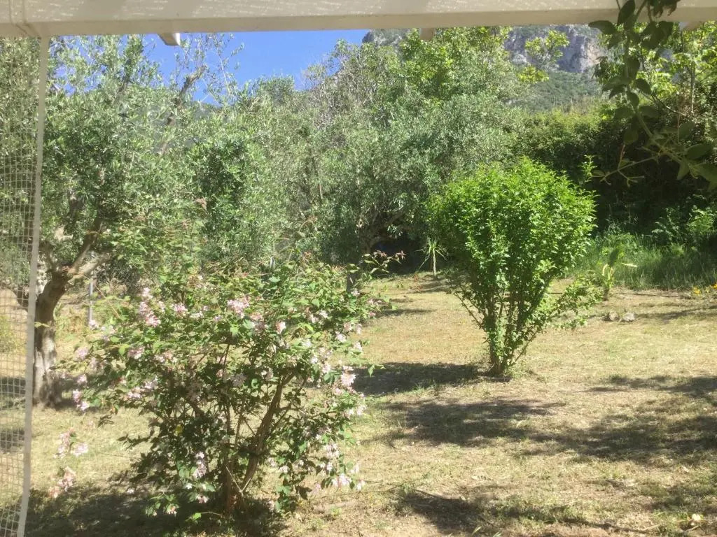 THE CABIN, KYPARISSIA