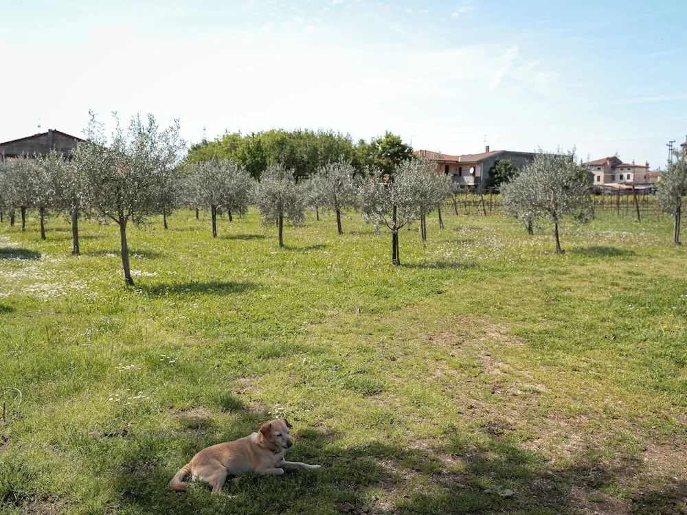 Villa Bongiovanni