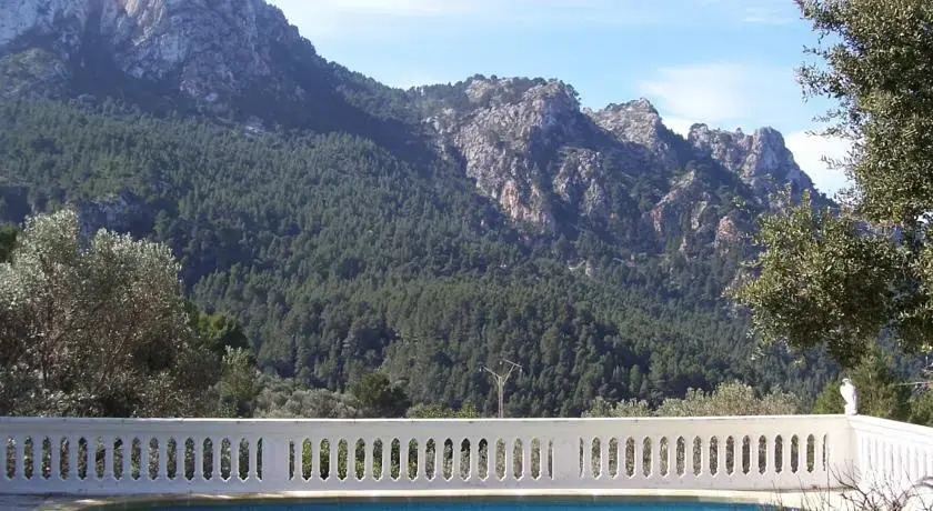 Coll Des Pi
