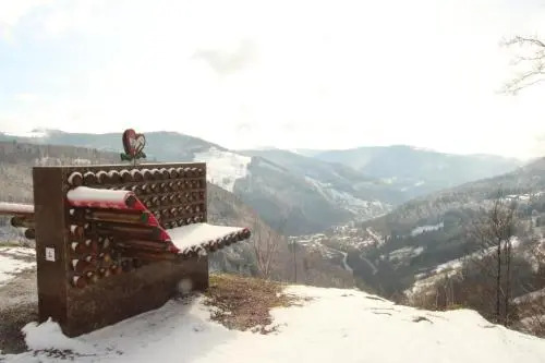 Bergvital Hotel Todtnau