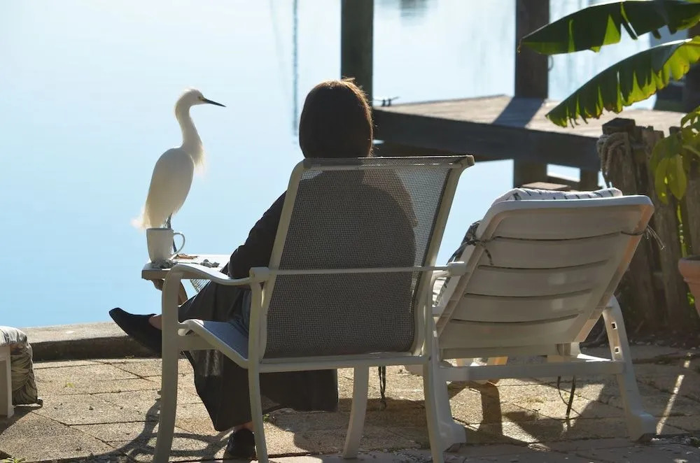 Oasis at John's Pass Madeira Beach