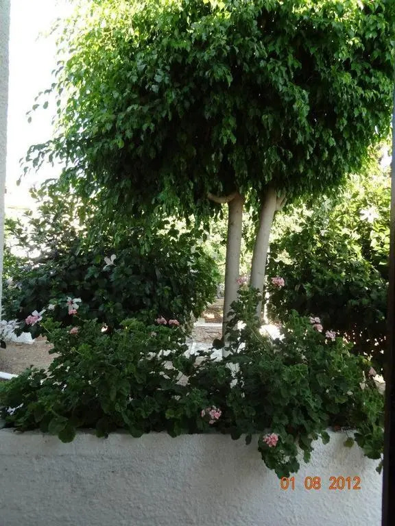 Villa Kanetos