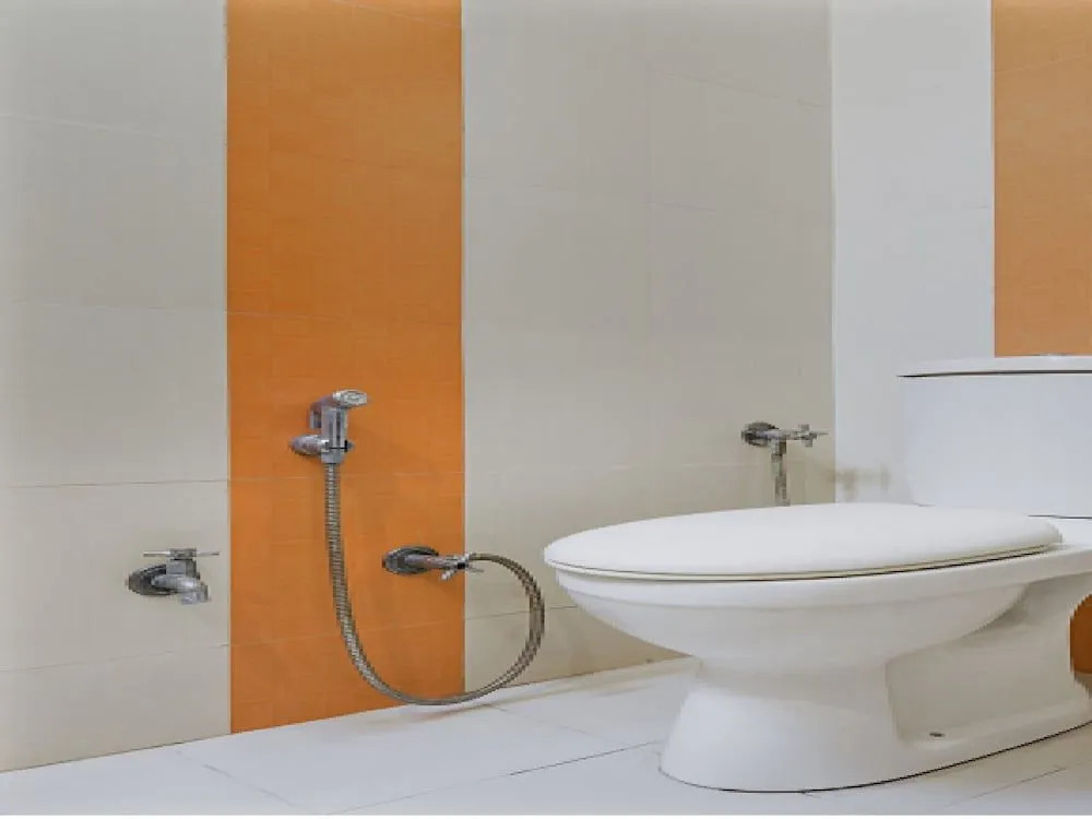OYO 16940 Hotel Royal Murli