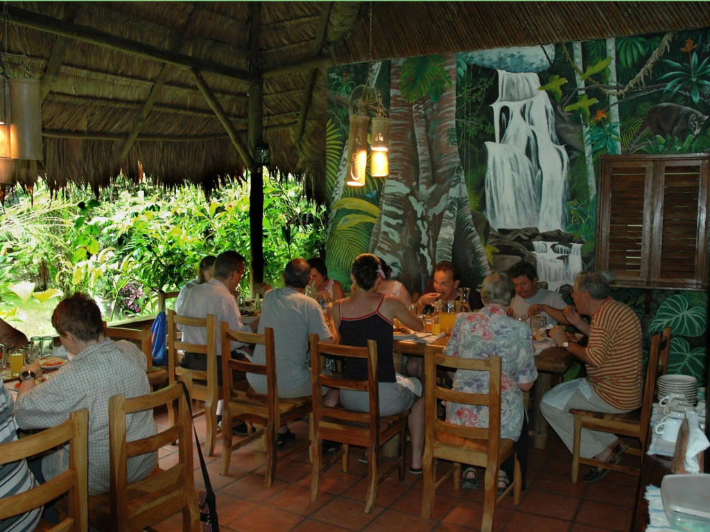Hotel La Gamba Rainforest Lodge