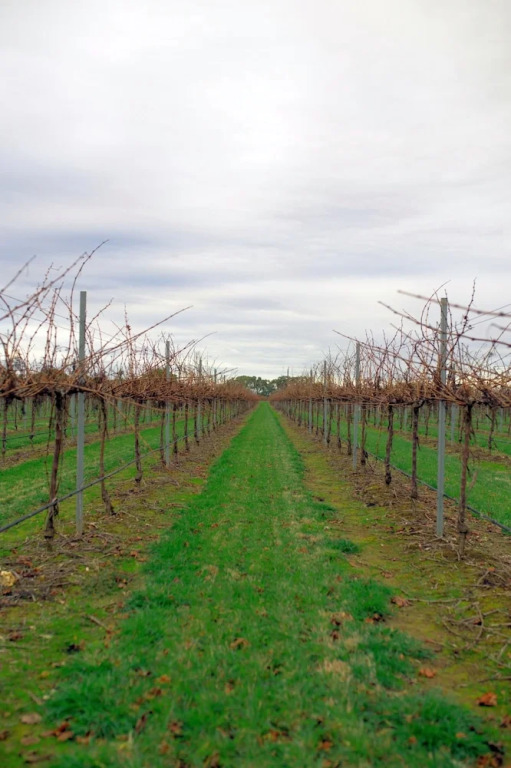 Yalumba Menzies Retreat