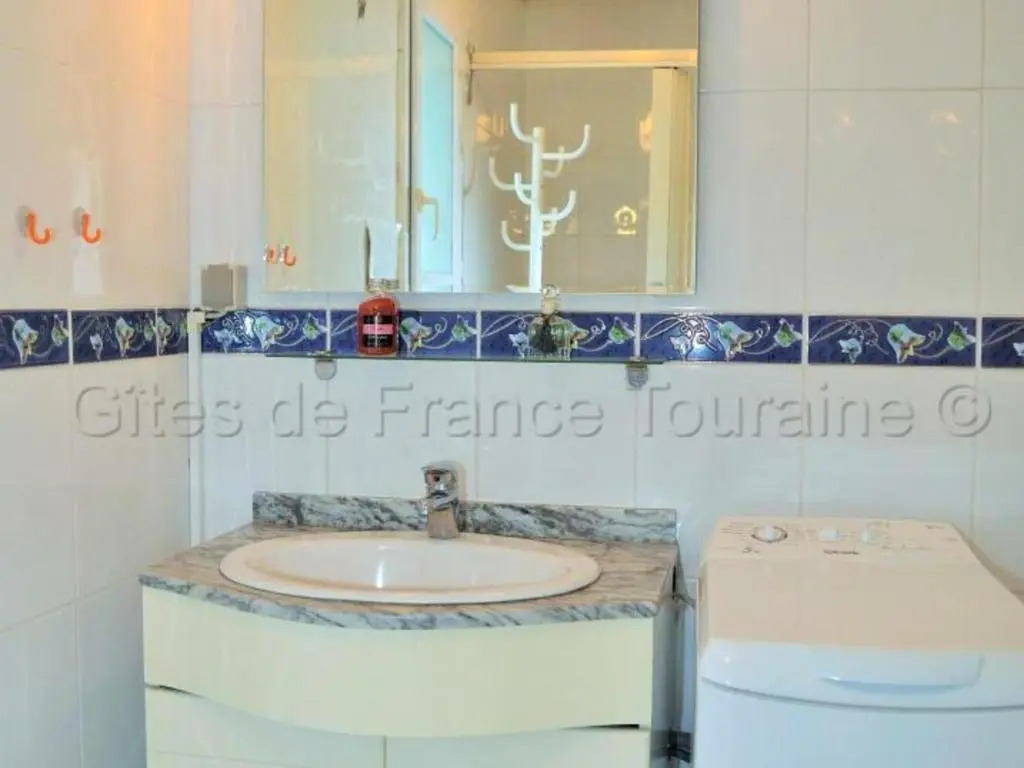 Gite Amboise, 2 pièces, 2 personnes - FR-1-381-55