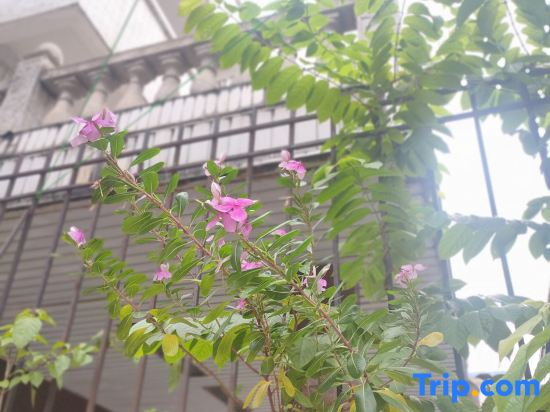 Huakai Vacation Apartment (Guangzhou North Station Huacheng Road Subway Station)