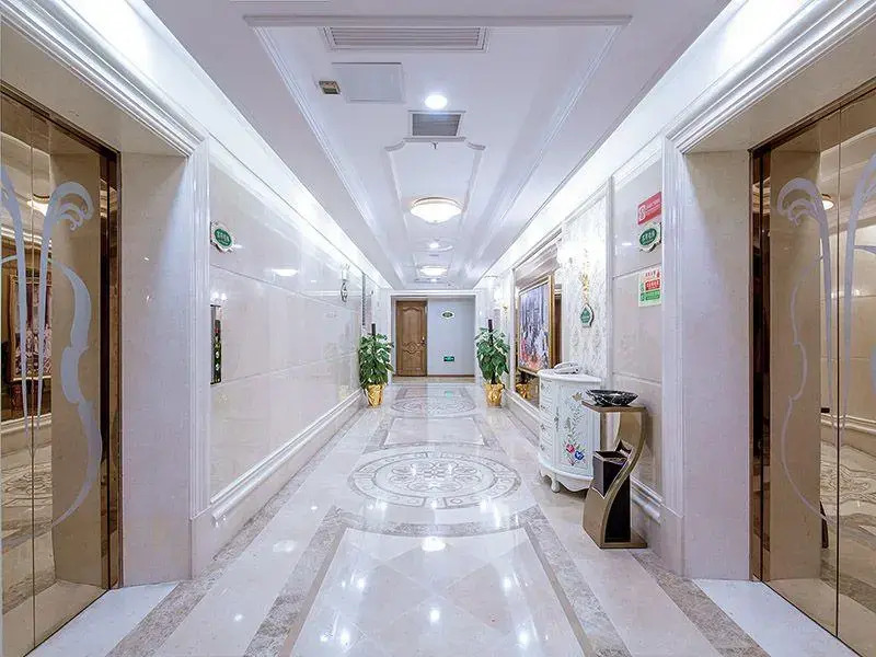 Vienna International Hotel (Wuhan Yangguang Yuhang)