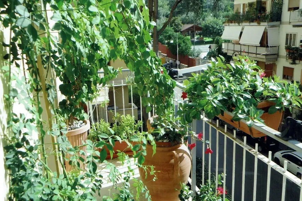 Apartment Semafla 2