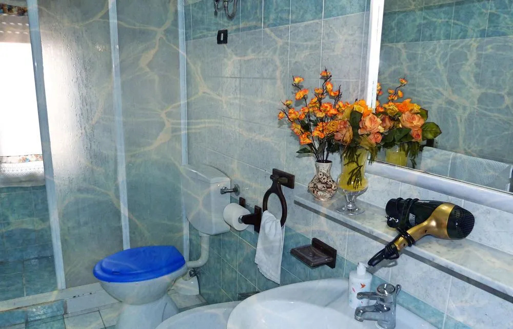 Orchidea Blu