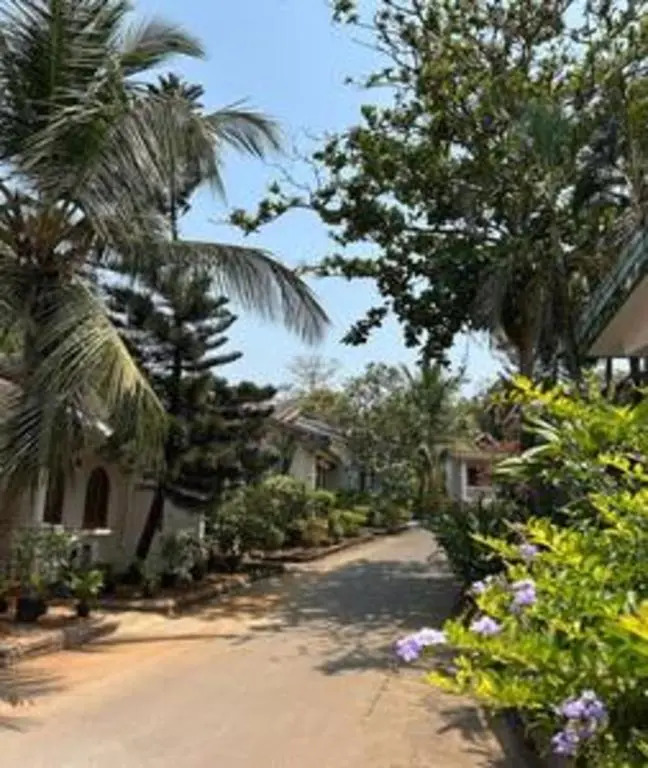 Villa Elara 1BHK Anjuna North Goa