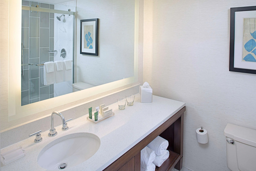 Hilton Boston Dedham