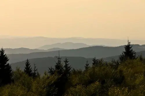 Paulas Bauernhof