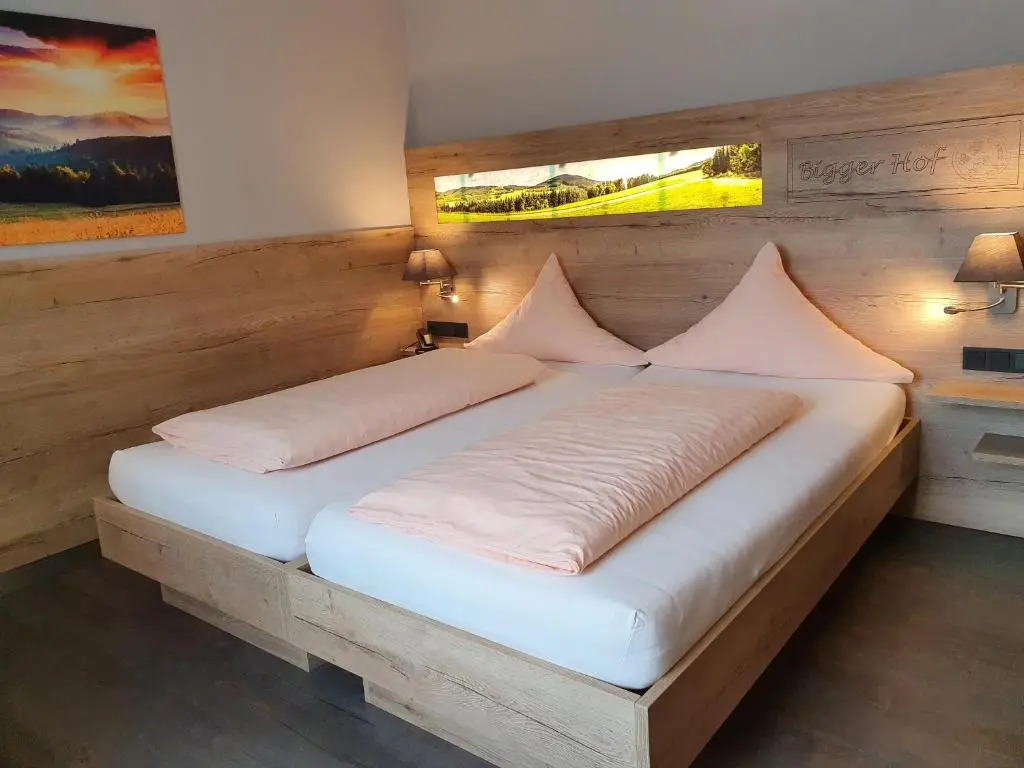 Hotel Bigger Hof - Wirtshaus Platzhirsch am Jahnplatz