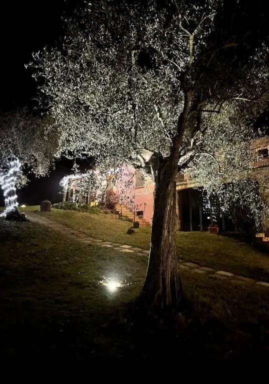 Tenuta SantApollinare