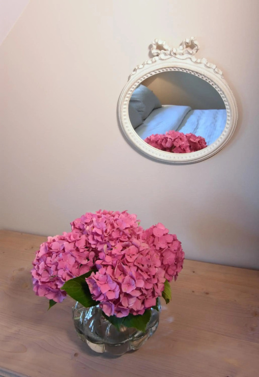 Janez Rooms