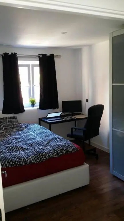 En-suite room, 1Gb fast Wi-Fi, Monitor, Kingsize bed, close Sainsbury's &Wandle PARK