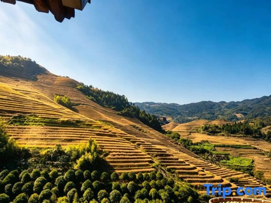 Yu Yong Guesthouse (Longsheng Longji Rice Terraces)