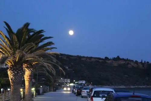 Rosas Beach Studios