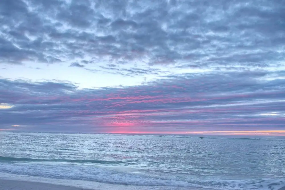 Sarasota 18