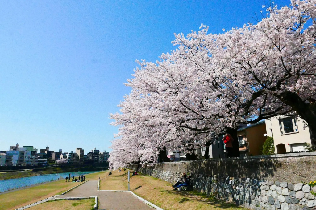 Ks House Kanazawa - Travelers Hostel