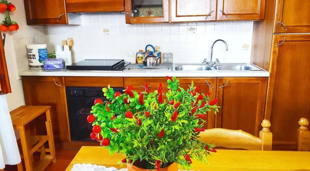 La Rosa del Sud