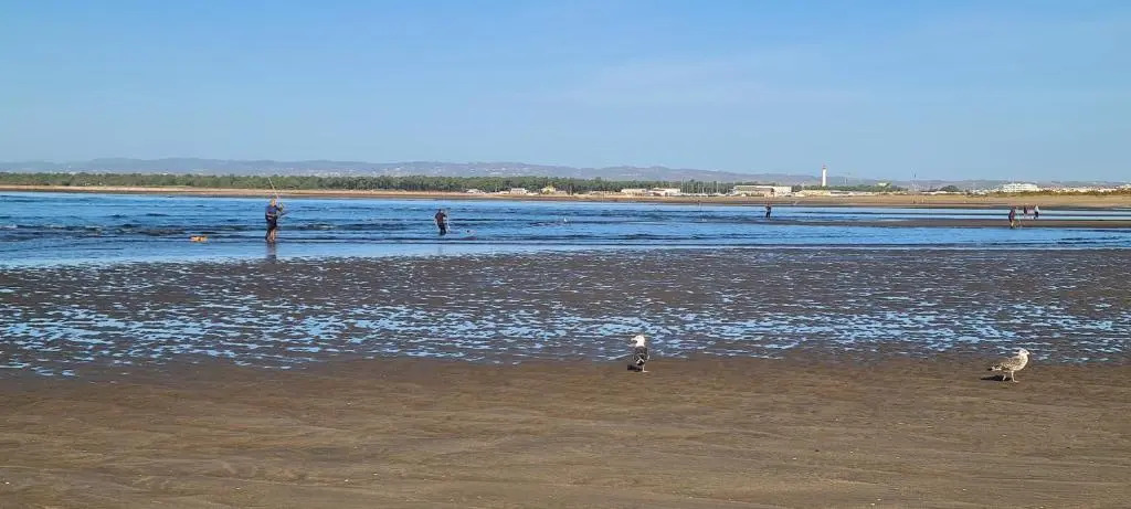 Mirando al mar y lleno de luz VFT/HU/01857