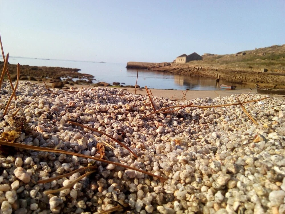 House With one Bedroom in Cee, Caneliñas, With Wonderful sea View and