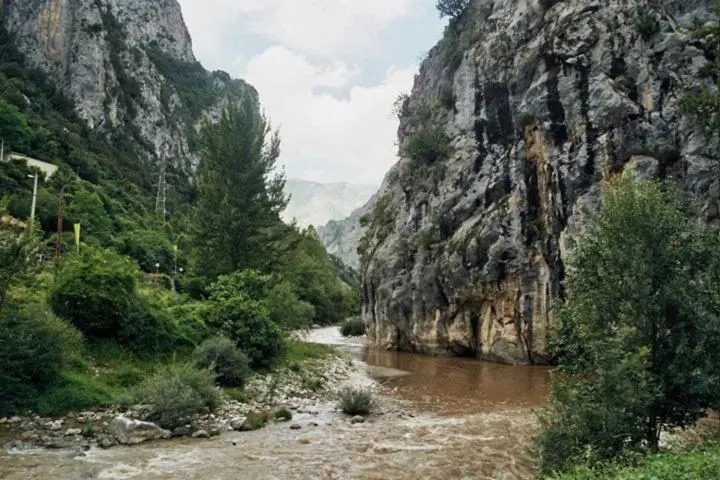 El Molino de Cicera