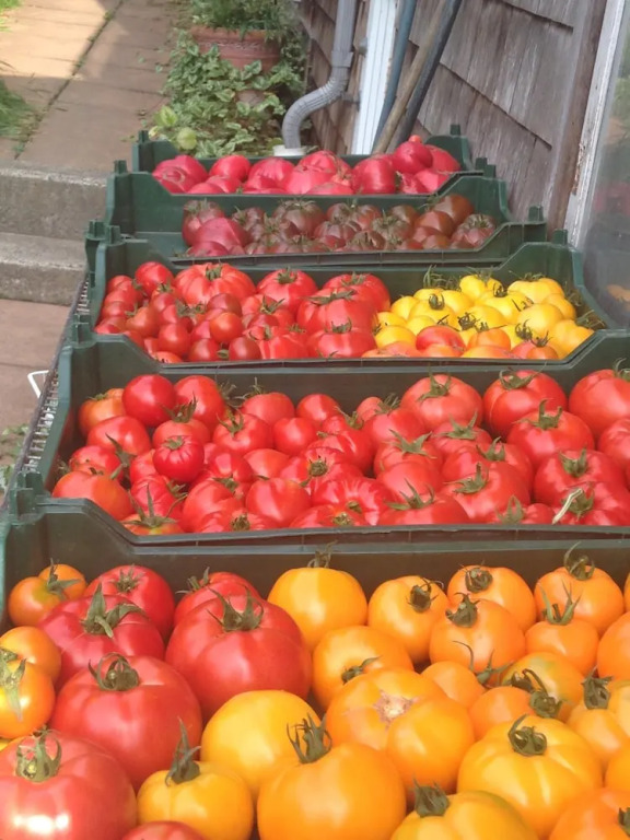 Nettles Farm