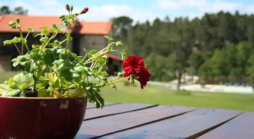 Quinta da Adarnela