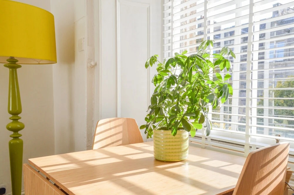 2 Bedroom Apartment in Leith Edinburgh