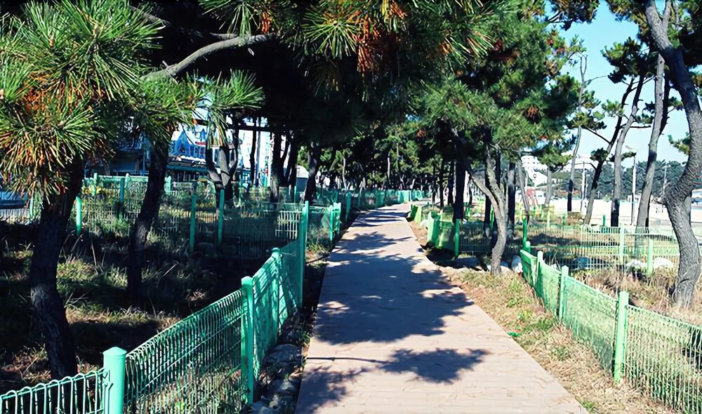 Sokcho Full House Pension