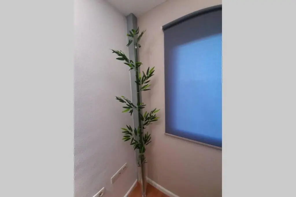 Apartamento moderno Timanfaya