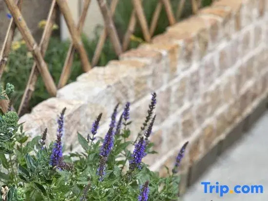 Shi Ji Li Season's Romance Romantic Garden Aesthetic Homestay (Dukezong Ancient City)