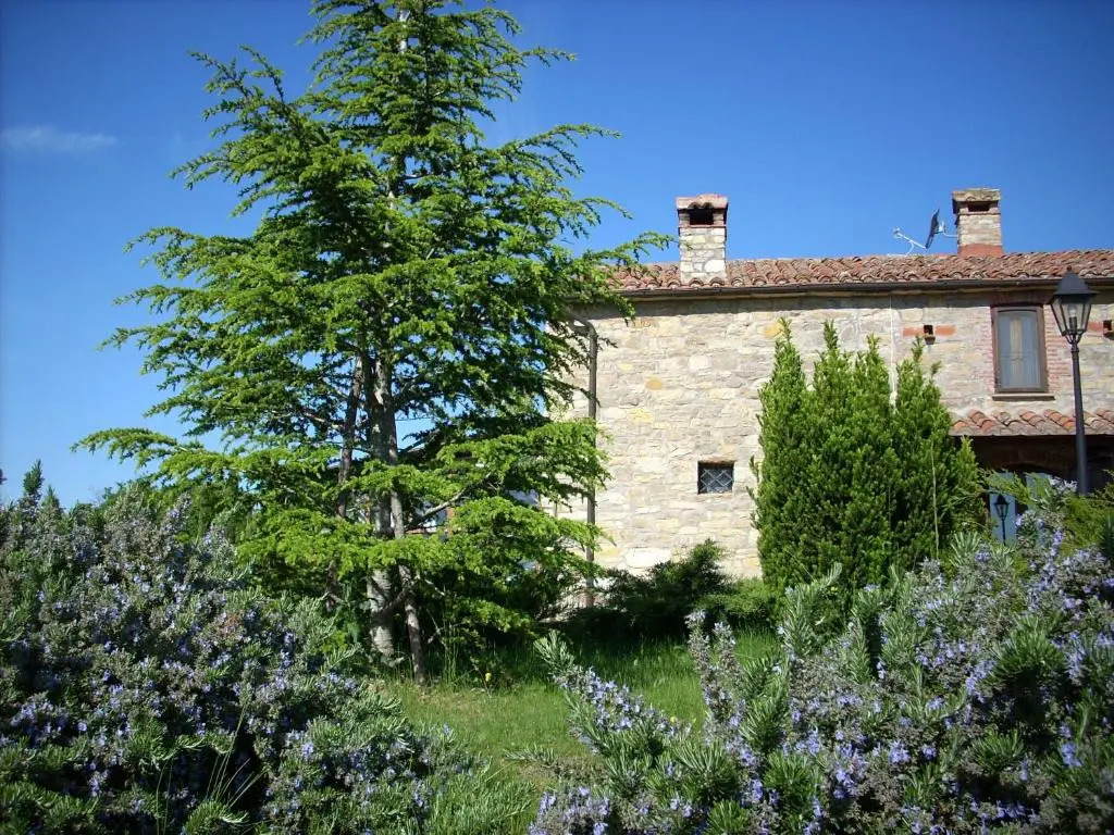 Charming hills