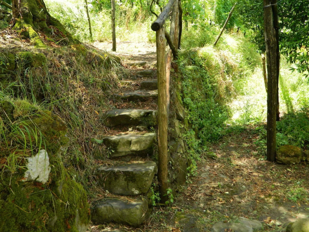 Gli Ulivi Agriturismo
