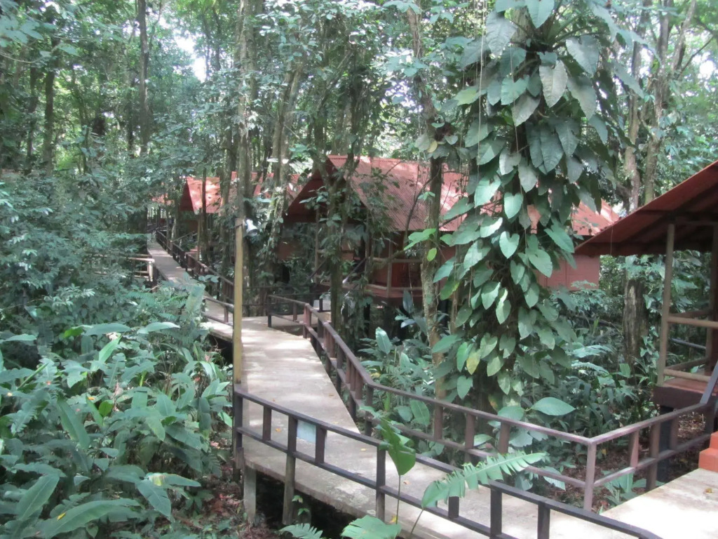 Hotel Rana Roja