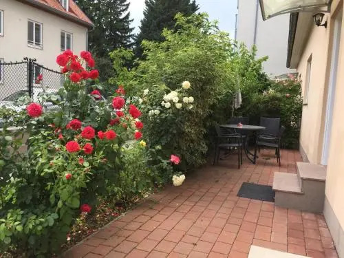 Terrasse Wohnungen mit parking in Zentrum