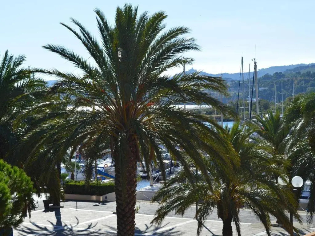 Appartement Argelès-sur-Mer, 2 pièces, 4 personnes - FR-1-225-612
