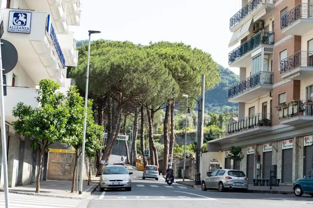 My Home Sorrento