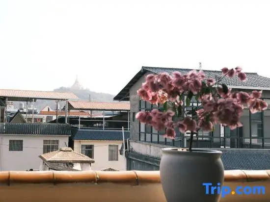 MangshiAbuminsu