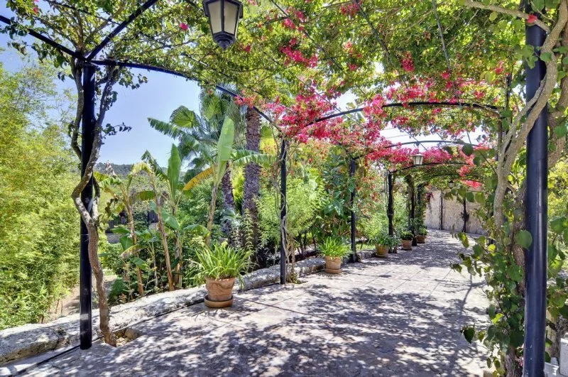 Es Jardí