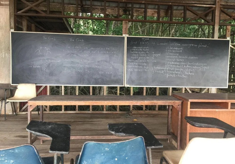 Bakau Hijau Riverlodge