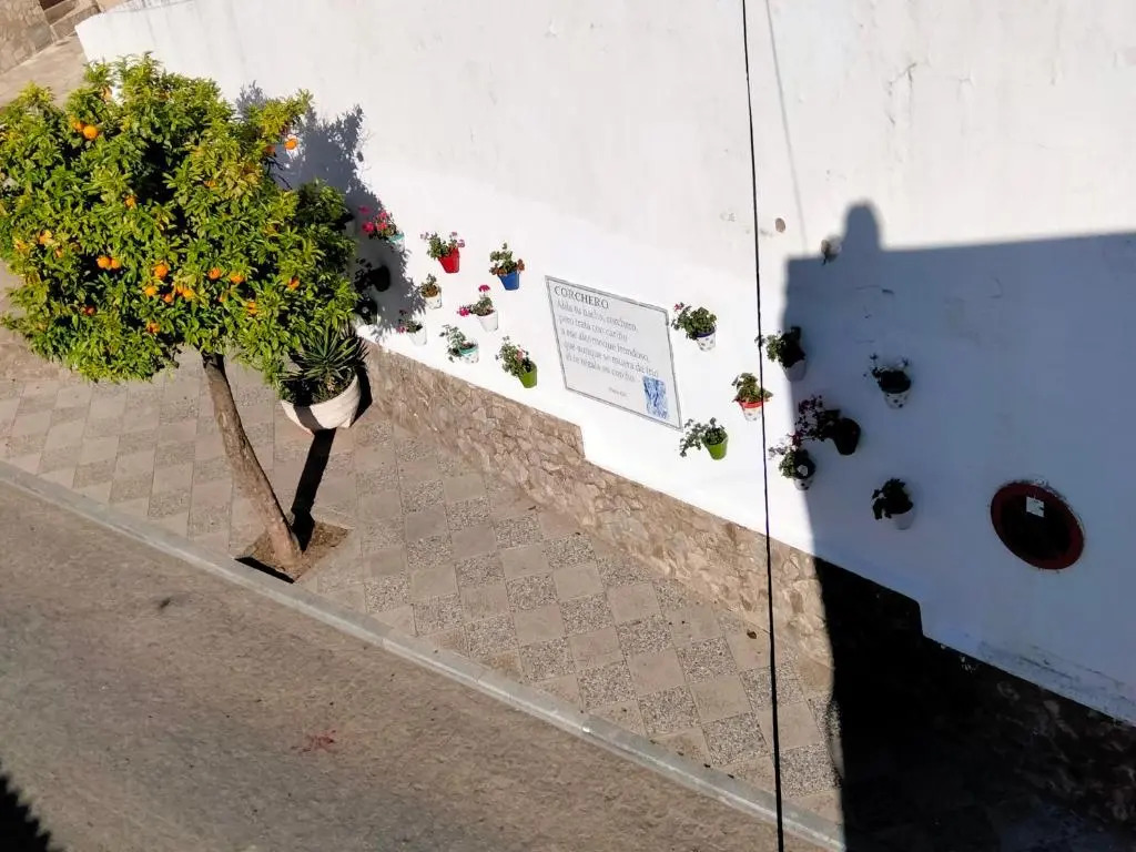 Casa Vista