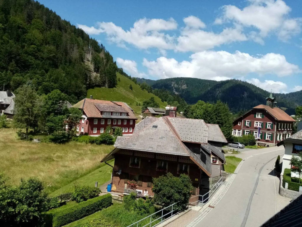 Flat in St. Blasien With Balcony