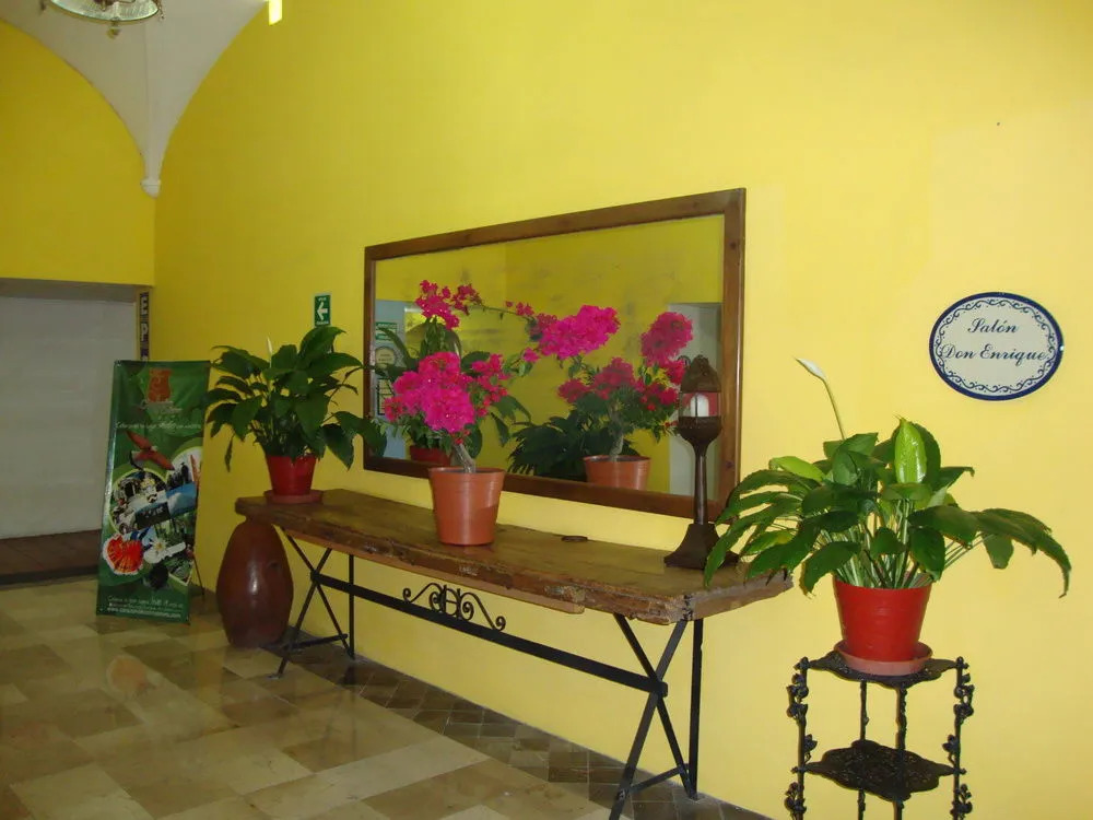 Hotel Concierge Plaza Colima