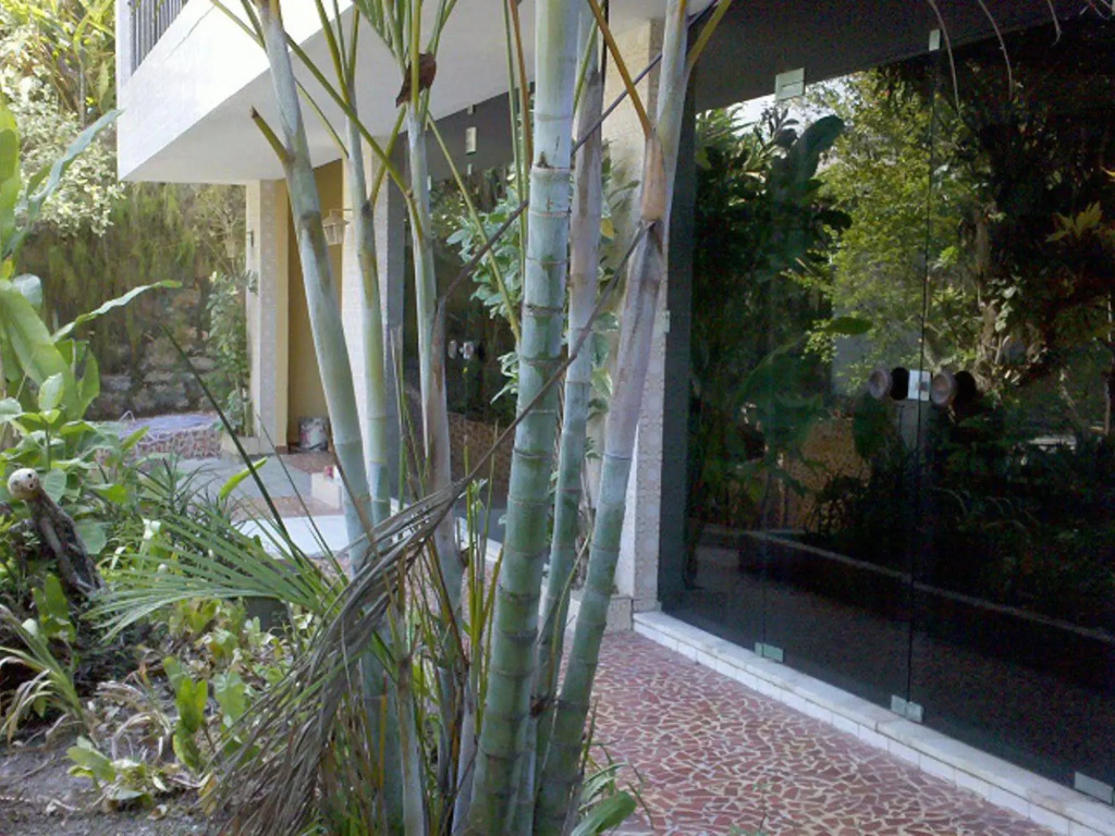 Pousada Charitas Inn