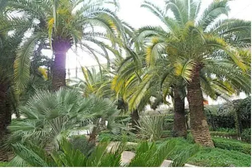 Résidence Cannes Passy